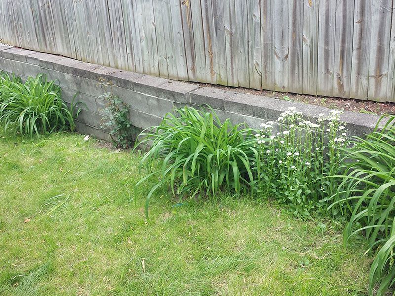 20140522 121758-(3)